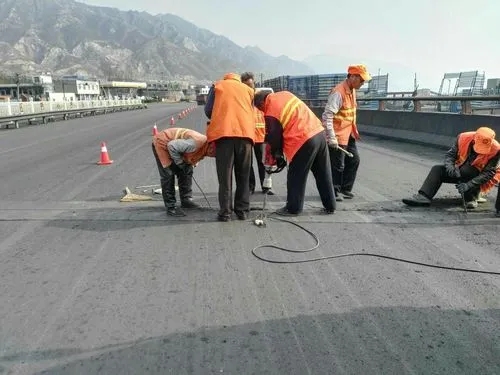 曹县道路桥梁病害治理